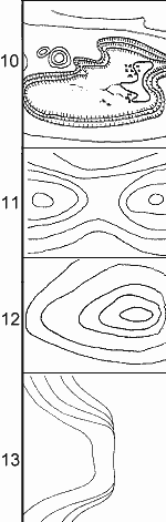 contour line quiz